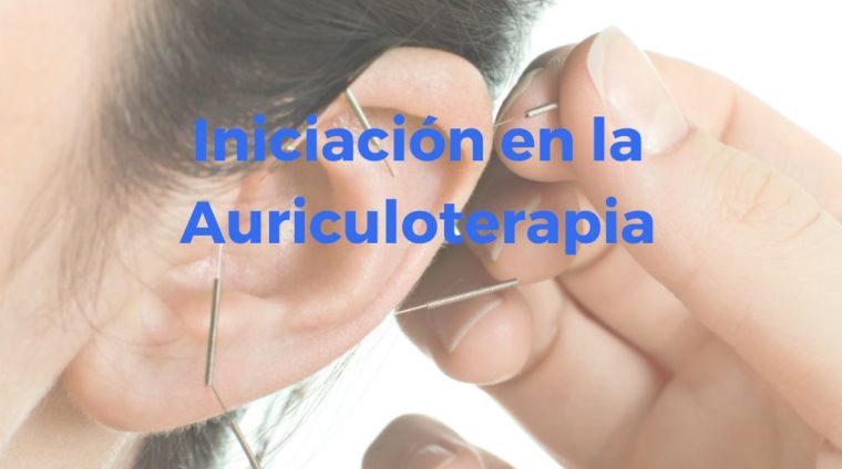 Iniciación en auriculoterapia (demo)